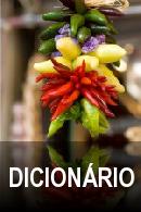 Curso Espanhol (América do Sul) dicionario