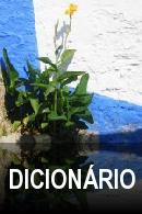 Curso Romeno dicionario
