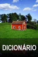 Curso Sueco dicionario