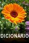 Dicionario Digital