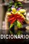 Dicionario Digital