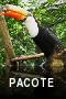 Pacote Familiar de Indonésio