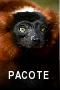 Pacote Completo de Malgaxe